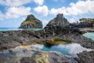 Piscinas naturais de Noronha