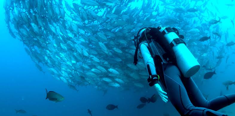 Melhores pontos de mergulho de cilindro em Noronha